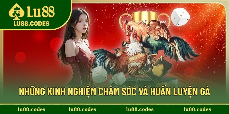 Những cách chăm sóc hiệu quả