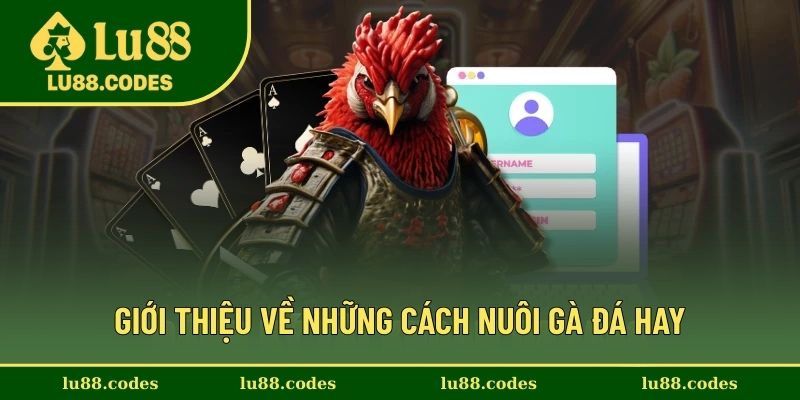 Những bí quyết nuôi độc đáo