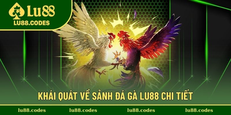Giới thiệu về sảnh đá gà Lu88 uy tín