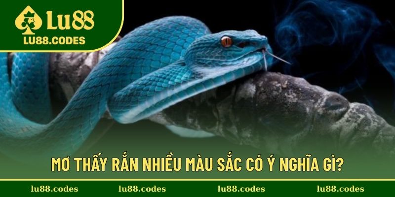 Ý nghĩa màu sắc của từng loài rắn