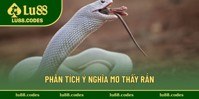 Giải thích quy luật khi mơ thấy rắn